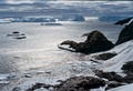 plage_manchots_icebergs_1980.jpg